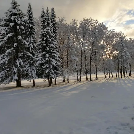 Appartamento Alpenlandhof *