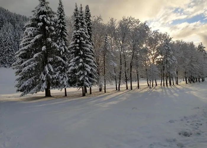 Lejlighed Alpenlandhof *